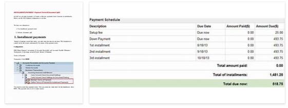 Installment Payments 3