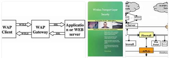 Wirless Transport Layer Security